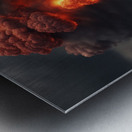 TAME Gallery 1 36 Metal print