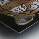 Beat the Heat Impression metal