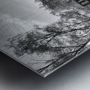 A Frosty Nature Walk Through The Scottish Highlands  Metal print