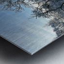 Frosty Nature in the Scottish Highlands  Metal print