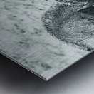 Battle for Hayden Valley B&W Metal print