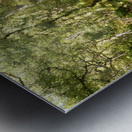 Summers  Golden Path Through the Scottish Highlands Metal print