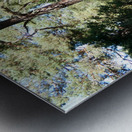 Forests Light and Shadow Play in the Scottish Highlands  Metal print