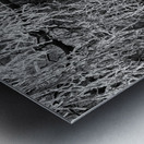 Frosty Birch Tree of the Scottish Highlands  Metal print