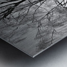 Winters Frosty Beauty in the Scottish Highlands in Black and White Metal print