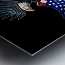 2. Emblems of Triumph: Where Glory Meets Freedom Metal print