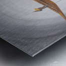 The Man and the Boat Metal print