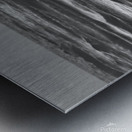 Great Blue Heron Wading for Breakfast ~ black and white North Padre Island Metal print