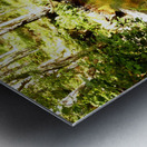 A Secret Summers Retreat in the Scottish Highland Metal print