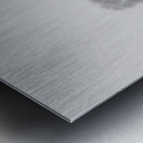 Birch Tree Winter White Out in the Scottish Highl Metal print