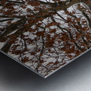 Winter Came Early to the Scottish HIghlands  Metal print