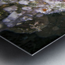 Dehydrator Metal print