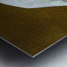 PawelKuczynski60 Metal print