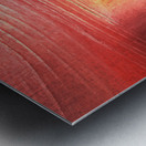 Burst of Passion Metal print