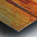 Sundown Melody Metal print