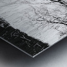 Scenes from the Trail- Monochrome Winter Lochan Reflections Metal print