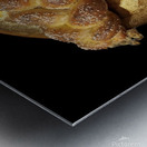 Long and round challah bread loaves Metal print