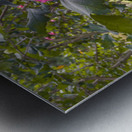 Inspired Elegance Metal print