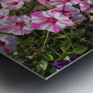 Morning Flowers Metal print