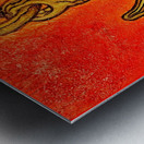 Samulet  Metal print