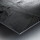 Everyday Lifes Moments- Dog Walking Two Metal print