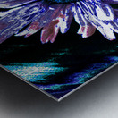 Abstract Daisy Flower Dark Background Metal print
