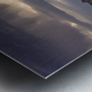 California Wilderness Metal print