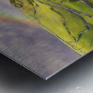 Whispers of the Emerald Isle: A Serene Irish Landscape  Metal print