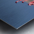 Lesser Flamingos 1 Metal print