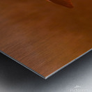 Greater Flamingos 2 Metal print