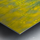 Strawberry Finch 6 Metal print