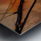 Bare Branches at Sundown Metal print