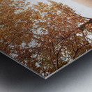 Autumn Landscape 1 Metal print