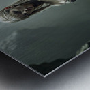 Muted Greyish  Metal print