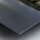 JPT 6001 Metal print