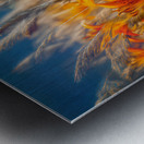 Harmless tiger lillies Metal print