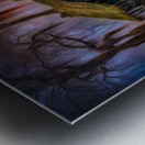 DREAMS FROM MY PAST Metal print