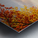 Tranquil Autumn Lake A Serene Reflection of Fall Metal print