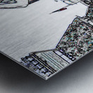 Lukas2Invert Metal print