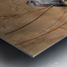 American Tree Sparrow Metal print