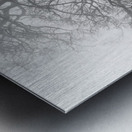 Moody black and white shot of trees in a park on a foggy morning  Metal print