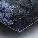 Morning Reflections Metal print