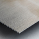 Tranquil Lake and Canoe Sepia Metal print