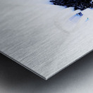 Abstract Contrasting Daisy Metal print