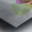 Element Earth v Metal print