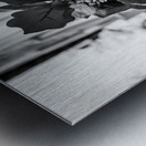 Black flower Metal print