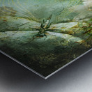 Feathers Of Grace Metal print