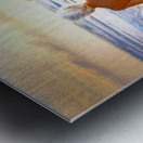 LOVING A STROLL Metal print