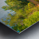 LILY POND AT THE BRICKWORKS Metal print