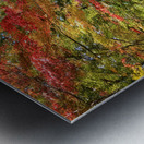 NORTHERN ONTARIO IN THE FALL Metal print